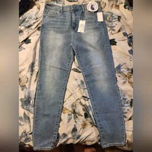 Women's Blue Jeans Curve Appeal Skinny Size 16/33